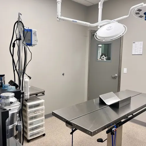Pleasanton Veterinary Hospital Surgery Suite